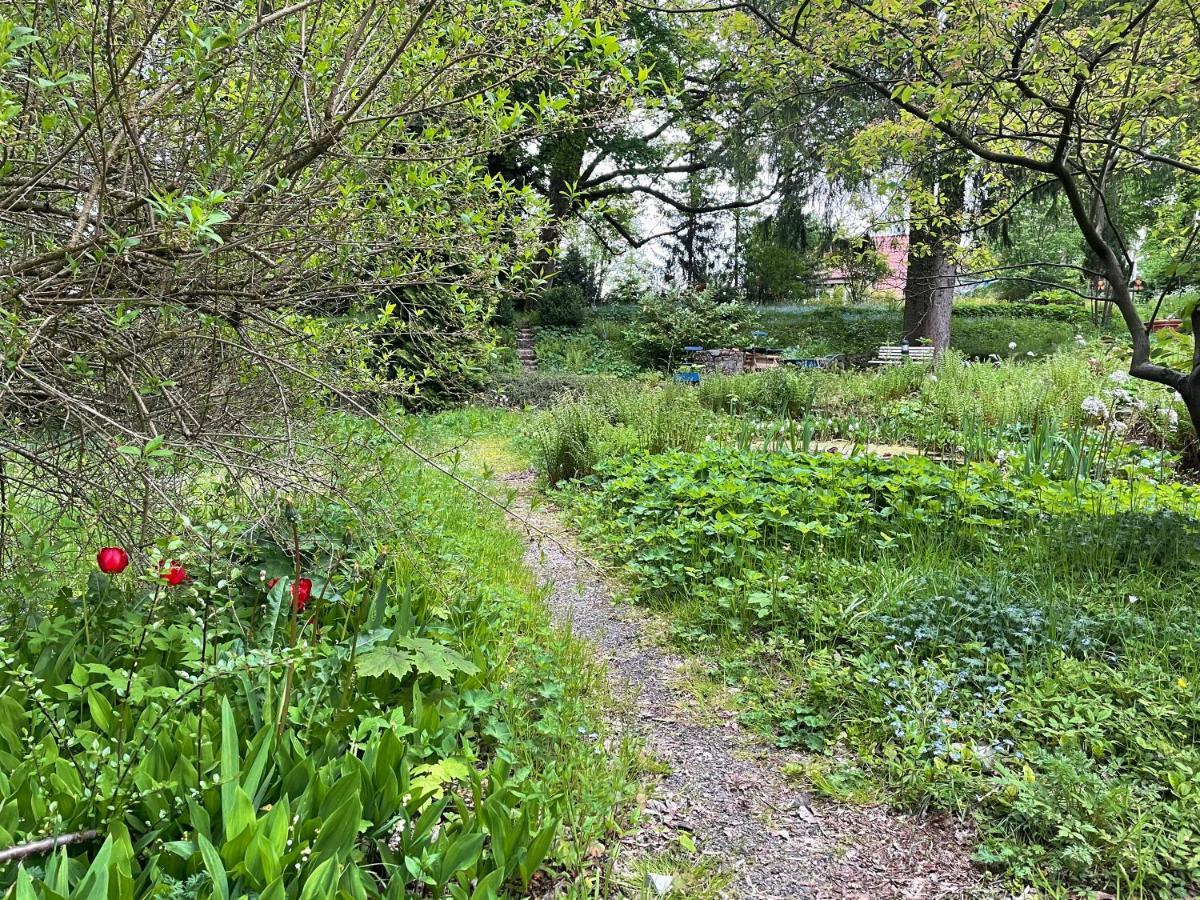 Liebevoll Eingerichtetes Ferienhaus Mit Grossem Garten Clausthal-Zellerfeld Exterior foto