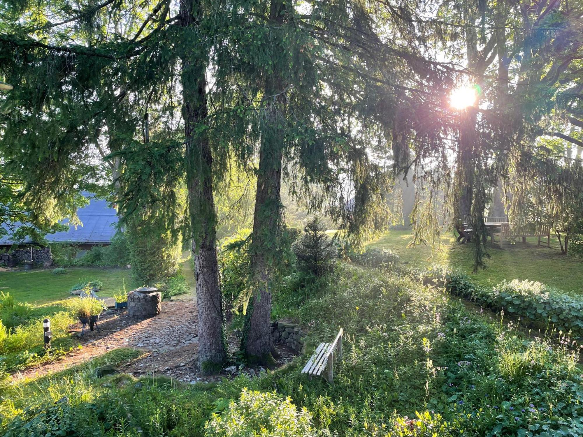 Liebevoll Eingerichtetes Ferienhaus Mit Grossem Garten Clausthal-Zellerfeld Exterior foto